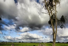 柏林赫塔引进新教练，冲击下赛季欧洲杯