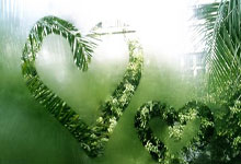 精彩足球赛事，球员全力以赴奋力拼搏