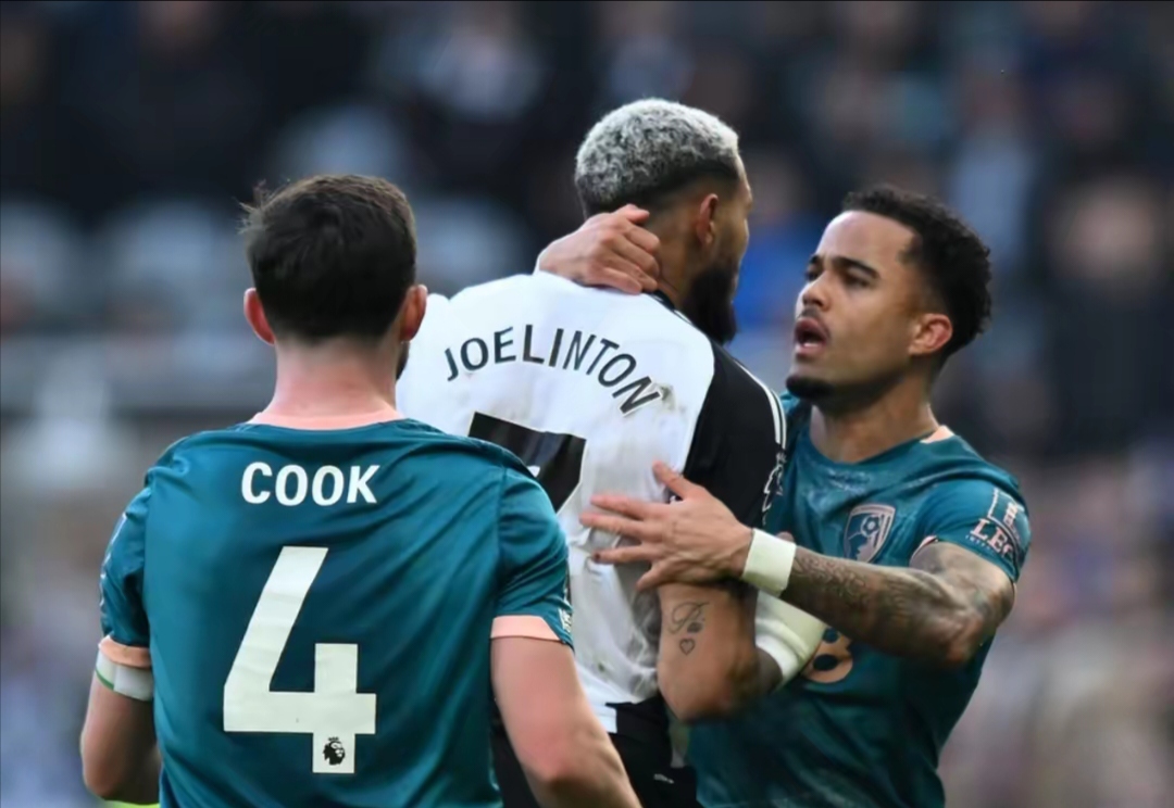 od体育官网app-伯恩茅斯主场小胜卡迪夫城，取得主场关键的简单介绍