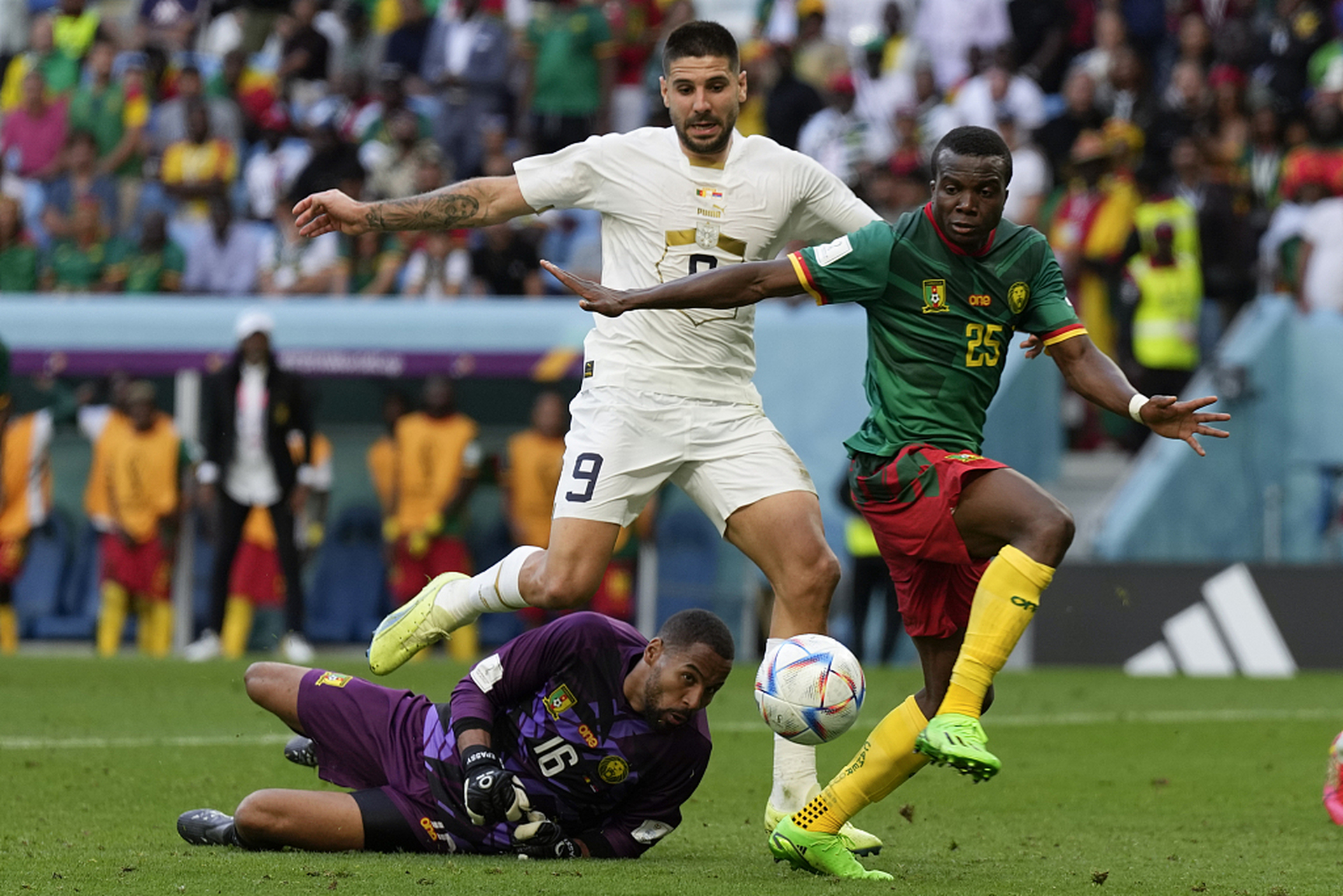 od体育官方登录入口-顶级征战，世界级球队对战的简单介绍