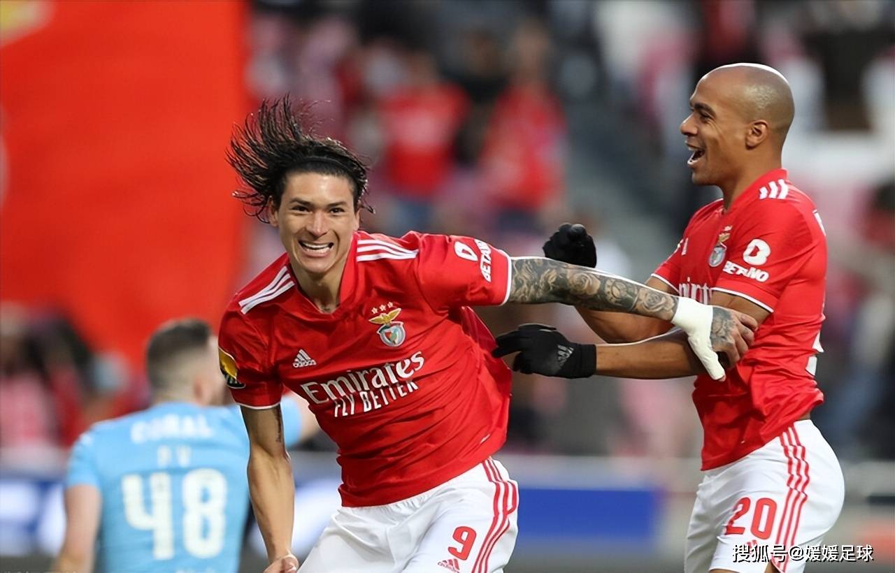 od体育网页版入口-非洲足球职业联赛中球队成绩喜人的简单介绍